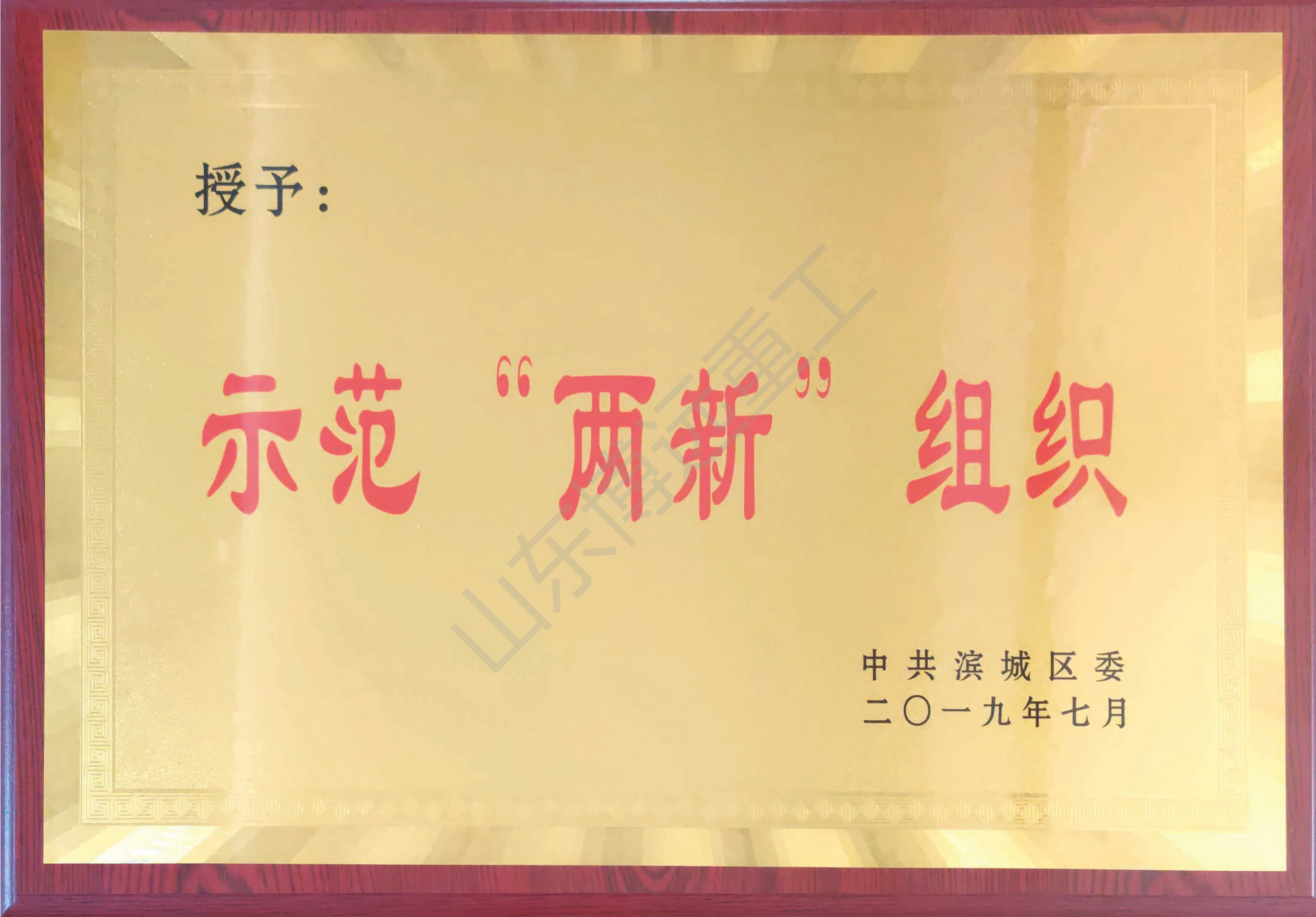 濱城區示范“兩新”組織